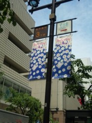 f:id:Magnoliarida:20100509233146j:image