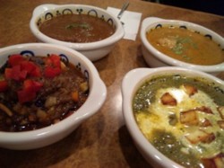 f:id:Magnoliarida:20100515012512j:image