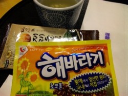 f:id:Magnoliarida:20100516104057j:image