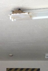 f:id:Magnoliarida:20100525131255j:image