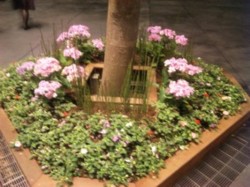 f:id:Magnoliarida:20100603005815j:image