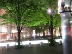 f:id:Magnoliarida:20100603005818j:image