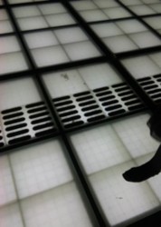 f:id:Magnoliarida:20100603005828j:image