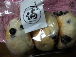 f:id:Magnoliarida:20100603011546j:image