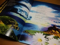 f:id:Magnoliarida:20100603213957j:image