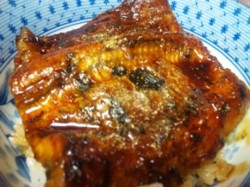 f:id:Magnoliarida:20100629201422j:image