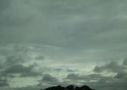 f:id:Magnoliarida:20100630163634j:image