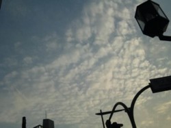 f:id:Magnoliarida:20100706201848j:image