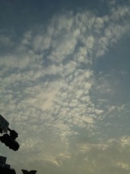 f:id:Magnoliarida:20100706201849j:image