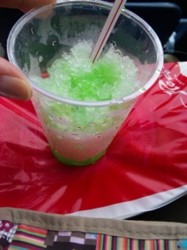 f:id:Magnoliarida:20100801005829j:image