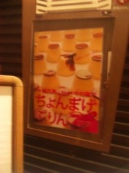 f:id:Magnoliarida:20100801210418j:image