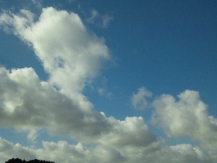 f:id:Magnoliarida:20100803160233j:image