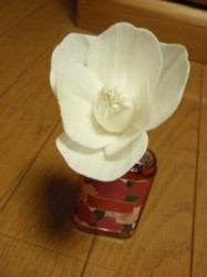 f:id:Magnoliarida:20100808223545j:image