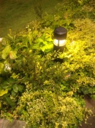 f:id:Magnoliarida:20100813210145j:image