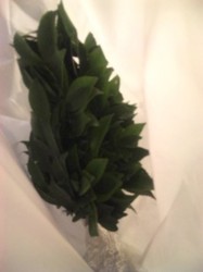 f:id:Magnoliarida:20100813210146j:image