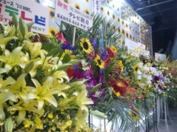 f:id:Magnoliarida:20100815214746j:image