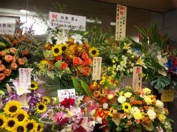 f:id:Magnoliarida:20100820231722j:image