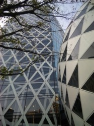 f:id:Magnoliarida:20100905020856j:image