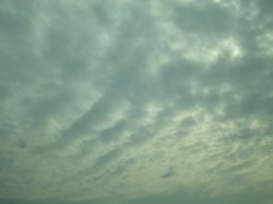 f:id:Magnoliarida:20101017231258j:image