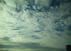 f:id:Magnoliarida:20101121005940j:image