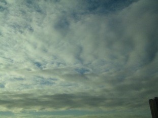 f:id:Magnoliarida:20101124225955j:image