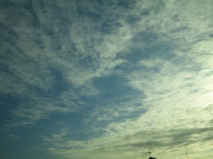 f:id:Magnoliarida:20101124225956j:image