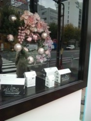 f:id:Magnoliarida:20101127004728j:image