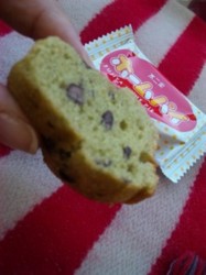 f:id:Magnoliarida:20101128230730j:image