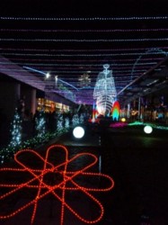 f:id:Magnoliarida:20101201133625j:image