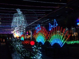 f:id:Magnoliarida:20101201133646j:image