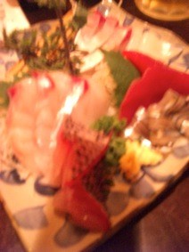 f:id:Magnoliarida:20101201133652j:image