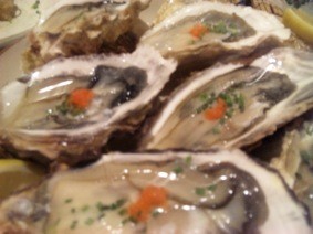 f:id:Magnoliarida:20101201133654j:image