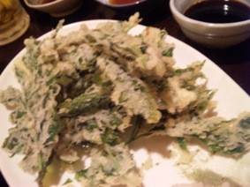 f:id:Magnoliarida:20101201133655j:image