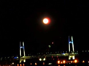 f:id:Magnoliarida:20101223225033j:image