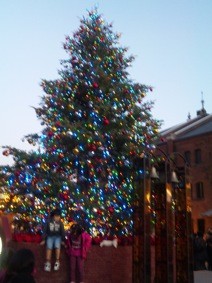 f:id:Magnoliarida:20101223232436j:image