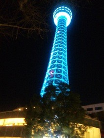 f:id:Magnoliarida:20101223232438j:image