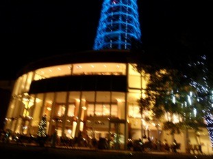 f:id:Magnoliarida:20101223235322j:image