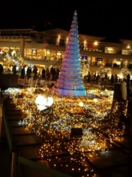 f:id:Magnoliarida:20101226005258j:image