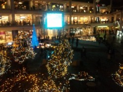 f:id:Magnoliarida:20101226005300j:image