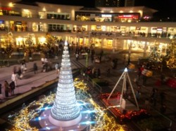 f:id:Magnoliarida:20101226005301j:image