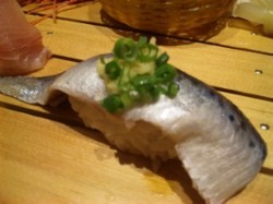 f:id:Magnoliarida:20110103225722j:image