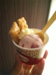 f:id:Magnoliarida:20110103225724j:image