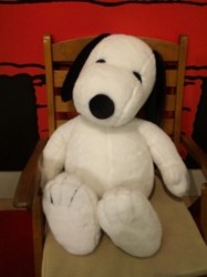 f:id:Magnoliarida:20110104200221j:image