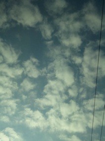 f:id:Magnoliarida:20110309224833j:image