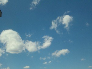 f:id:Magnoliarida:20110327203341j:image