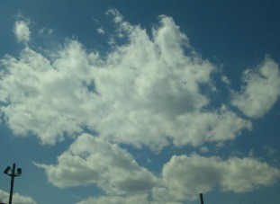 f:id:Magnoliarida:20110327203342j:image