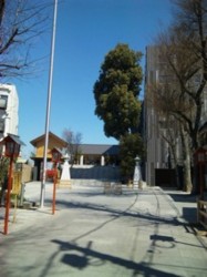 f:id:Magnoliarida:20110405154357j:image