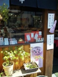 f:id:Magnoliarida:20110406020106j:image