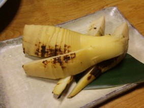 f:id:Magnoliarida:20110423012856j:image