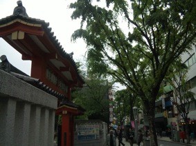 f:id:Magnoliarida:20110505234616j:image